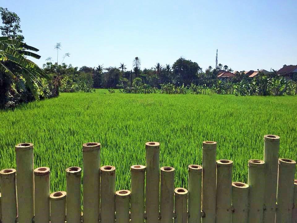 Bali Green Hostel Seminyak Exterior foto